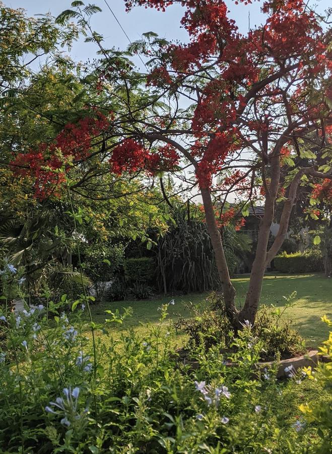 The Residence Villa Chobe Kasane Ngoại thất bức ảnh
