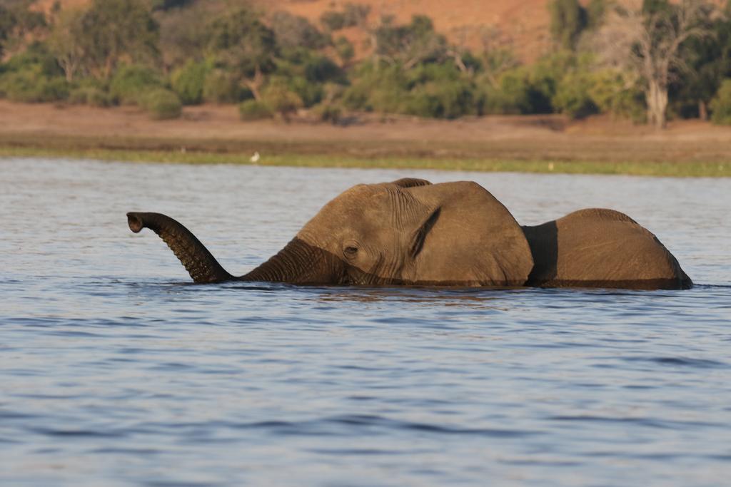 The Residence Villa Chobe Kasane Ngoại thất bức ảnh
